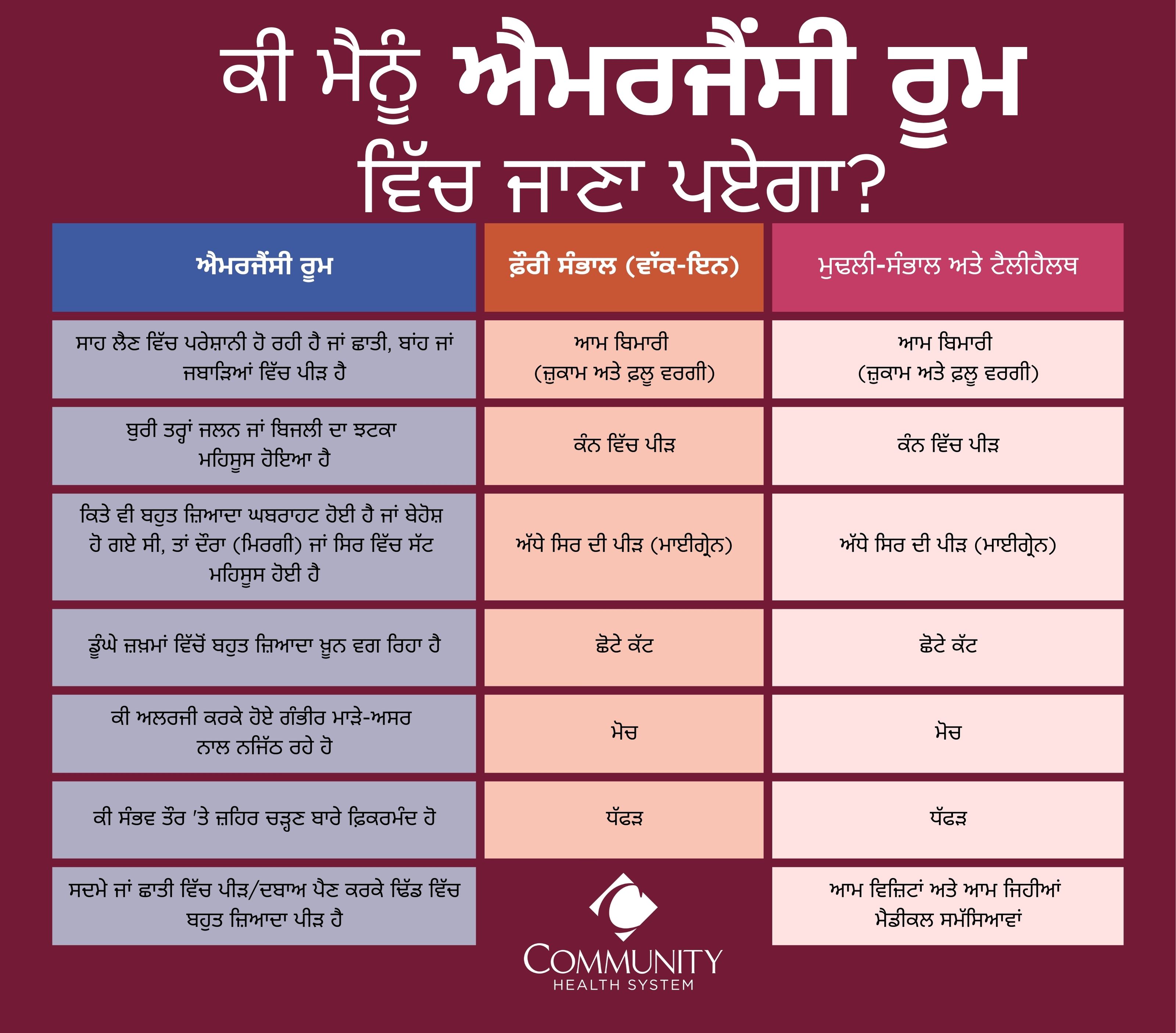 Do I need to go to the emergency room Infographic in Punjabi language