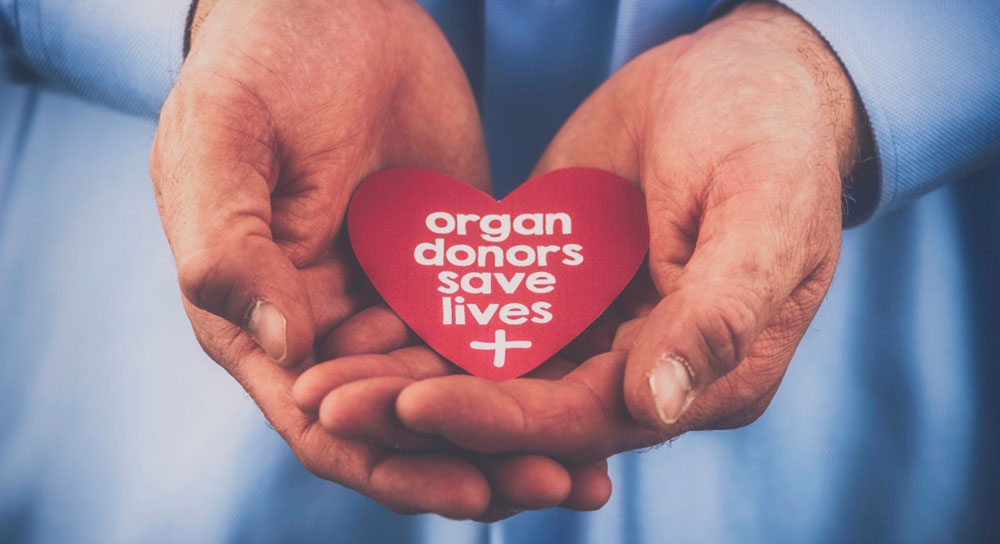 A pair of hands holds a heart that reads "organ donors save lives"
