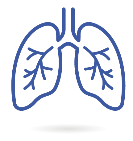pulmones
