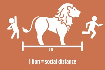 600X400-6ft-lion-social-distance.jpg