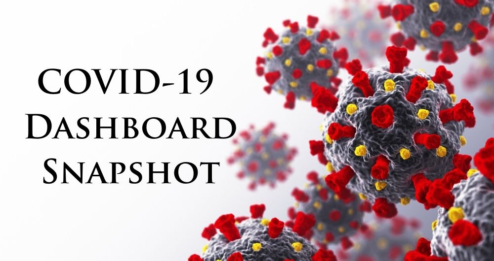 COVID-19 Dashboard Snapshot 