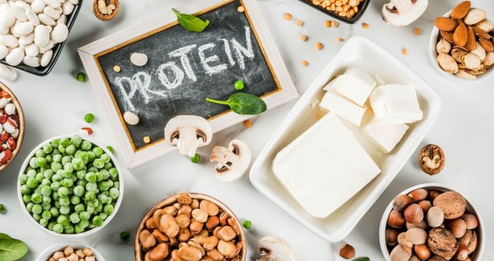 The Benefits of Protein
