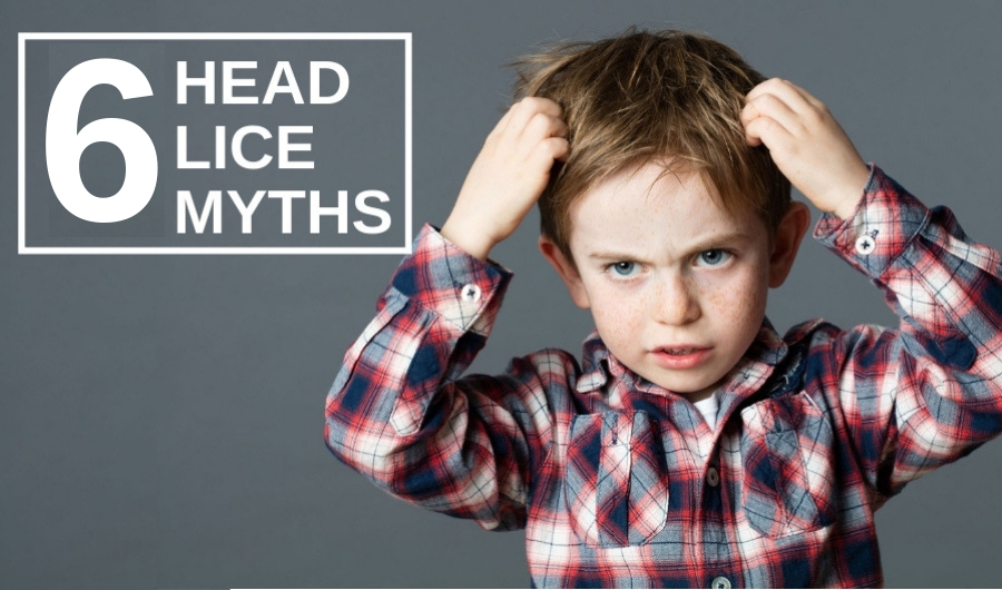 Top Six Myths About Head Lice