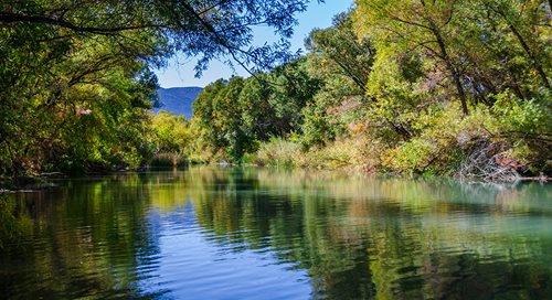 a peaceful-looking river is surrounded by green trees