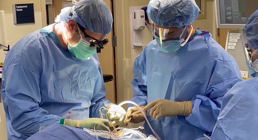 Dr. Levine in operating room performing surgery