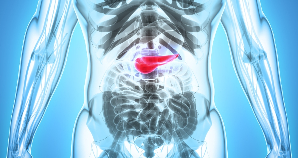 Pancreatic Cancer on the Rise: Warning Signs To Watch For