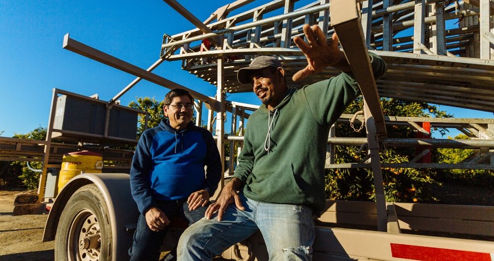 Hospital-trained chaplains provide solace in farm fields